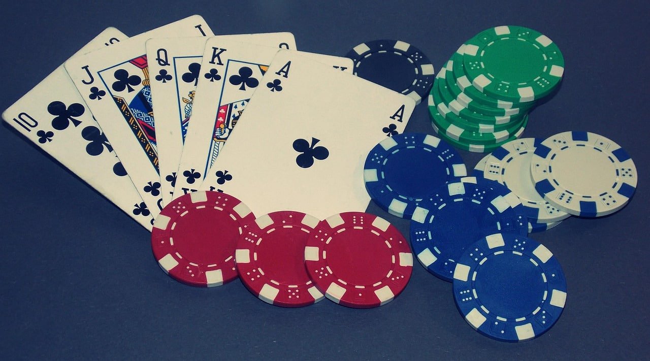 Tampilan layar fitur live scores dan odds taruhan pada sebuah aplikasi